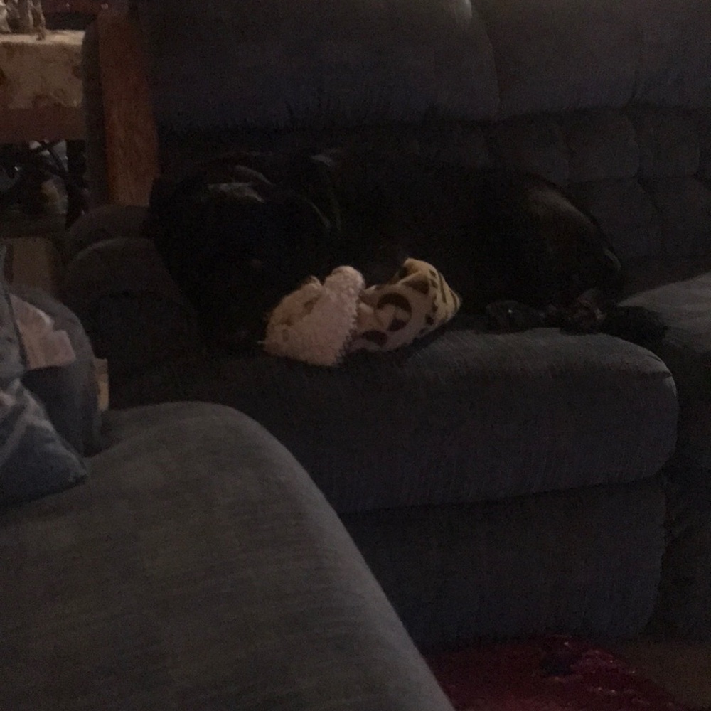 Meet your Posher, Beverly